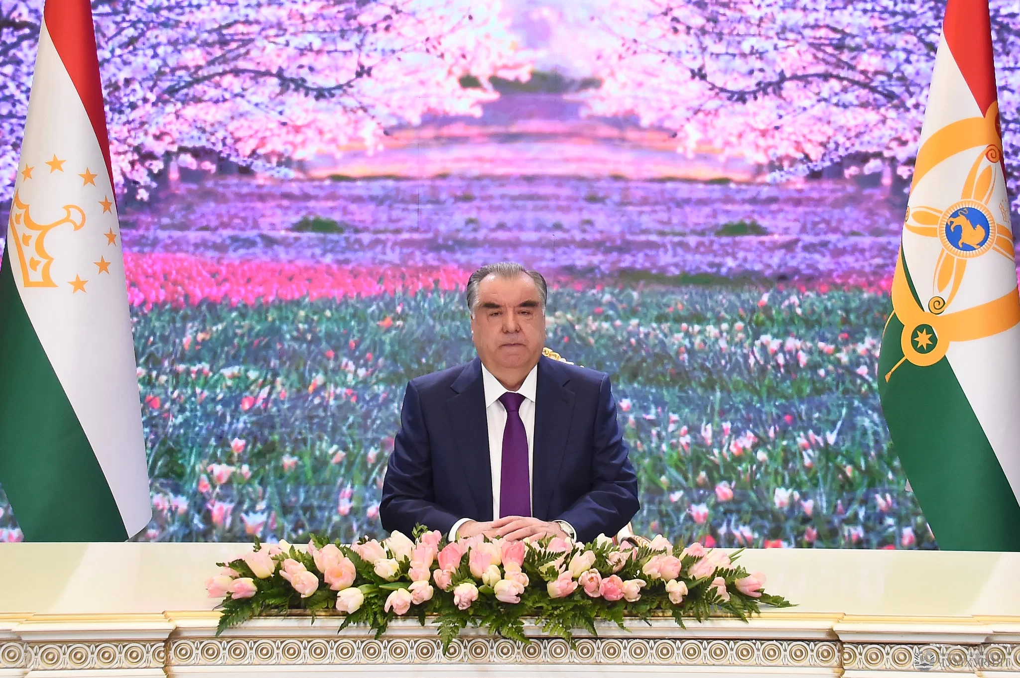 Таджикский поздравляю. Эмомали Рахмон. Эмомали Рахмон фото. Эмомали Рахмон табрикот.