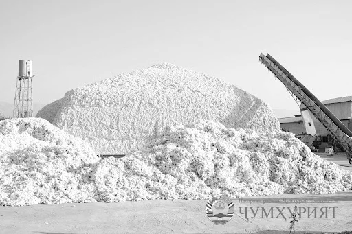 ХАТЛОН. ҚАРИБ 212 000 ТОННА ПАХТА ҶАМЪОВАРӢ ШУД