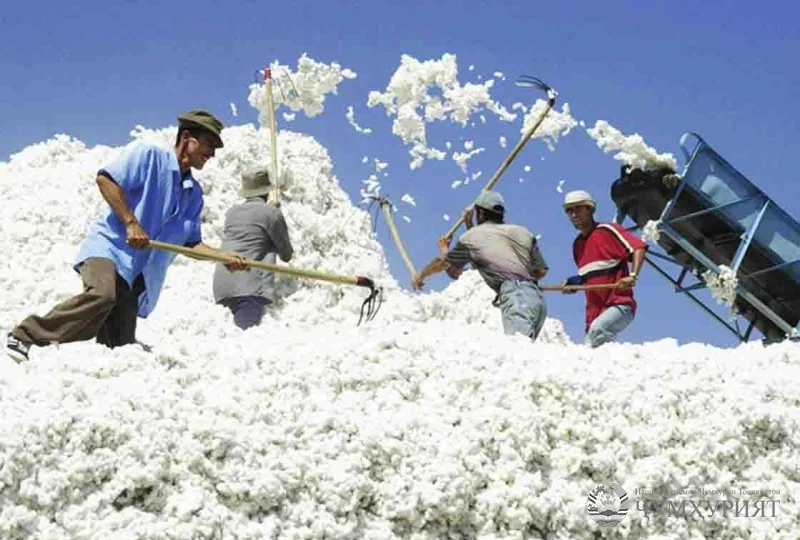 МУЖДА АЗ НОҲИЯИ ҶАЙҲУН