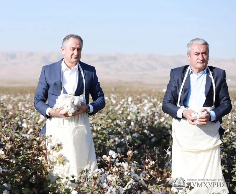 ПАХТА – 2025. МУЖДА АЗ НОҲИЯИ ДАНҒАРА