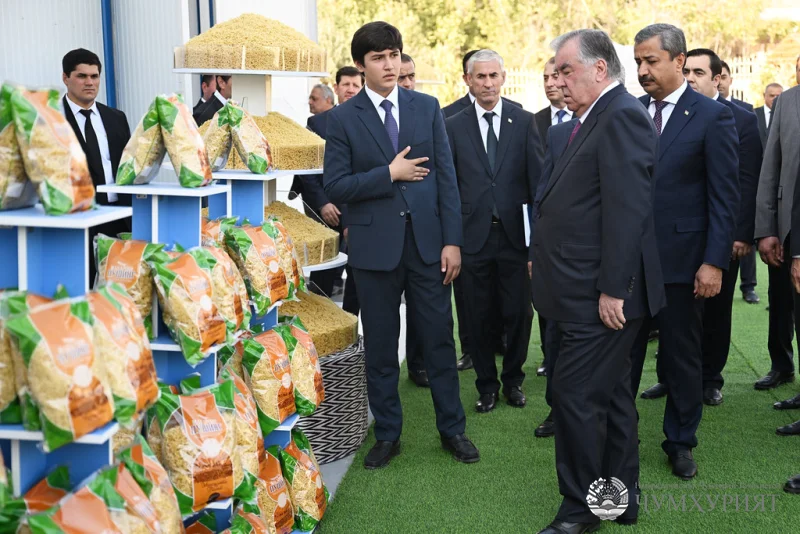 ПУШИНГ. БА ИСТИФОДА ДОДАНИ КОРХОНАҲОИ ИСТЕҲСОЛИ МАКАРОН, ЛӮЛАҲОИ ПЛАСТИКӢ, ДӮЗАНДАГӢ