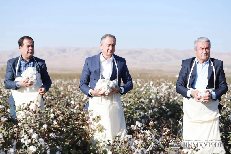 ДАНҒАРА. НОҲИЯИ ПЕШТОЗ ДАР ИҶРОИ БАРЗИЁДИ ДУРНАМОИ ПАХТА