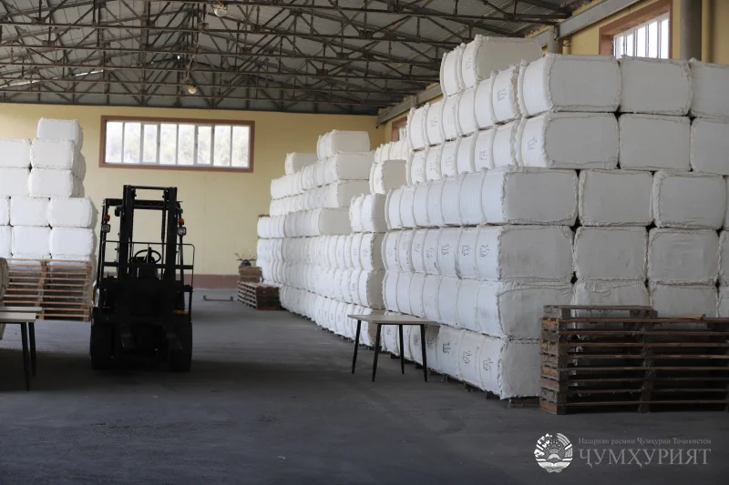 КӮШОНИЁН. БЕШ АЗ 22,7 ҲАЗОР ТОННА ПАХТА ҶАМЪОВАРӢ ШУД