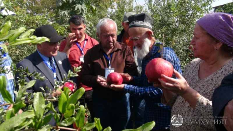 АНОРПАРВАРӢ. ДИРӮЗ, ИМРӮЗ ВА ДУРНАМО