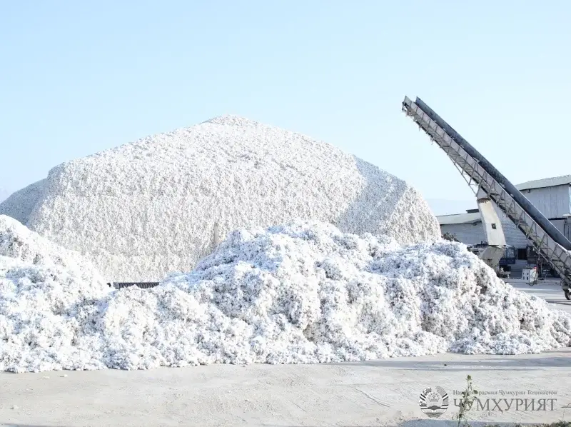 МУЖДА АЗ НОҲИЯҲОИ ҚУБОДИЁН, ШАҲРИТУС ВА НОСИРИ ХУСРАВ