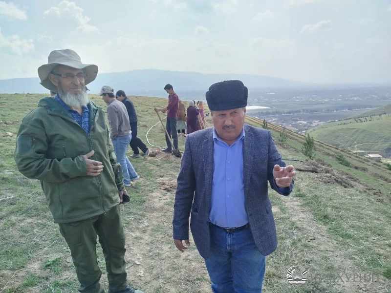 САКСАВУЛ. МАСЪАЛАЕ, КИ ТАВАҶҶУҲИ БЕШТАР МЕХОҲАД