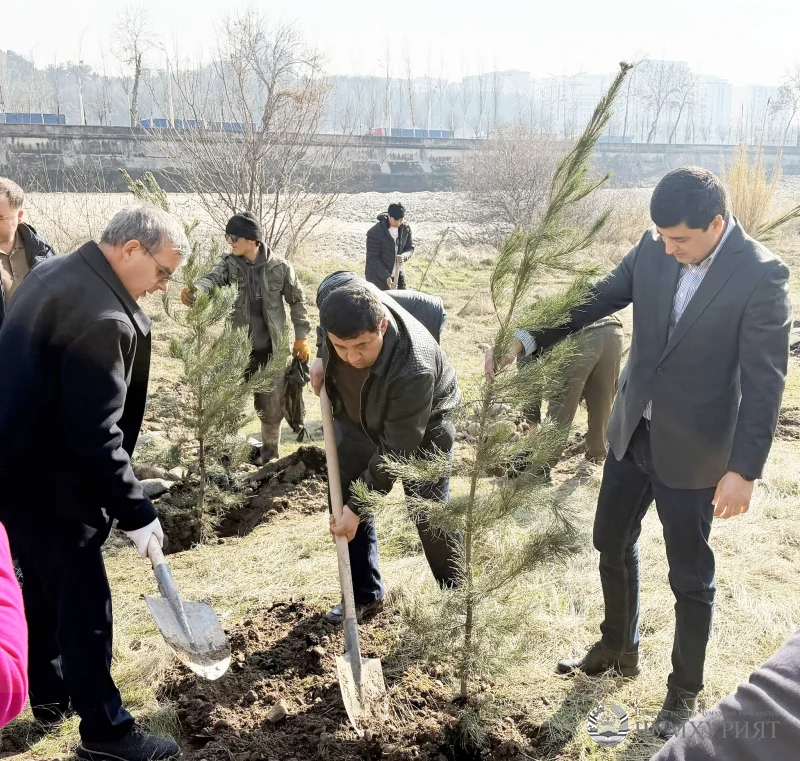 ҲИФЗИ МУҲИТИ ЗИСТ. 2025 – СОЛИ ДАСТОВАРДҲОИ МУҲИМИ СОҲА БУД