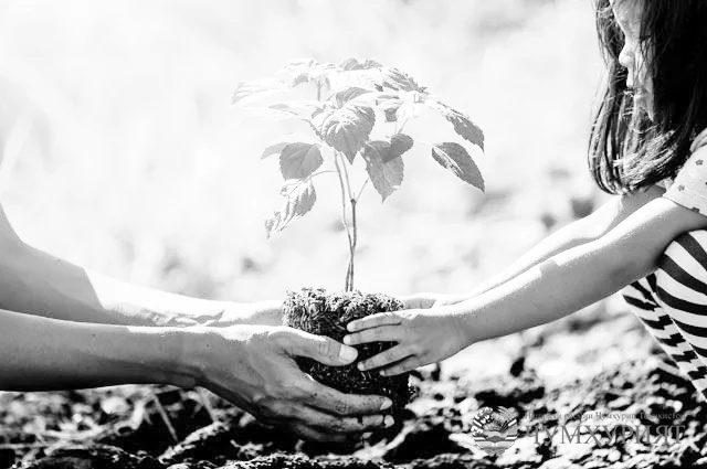 СУҒД. ТАТБИҚИ БАРНОМАИ ДАВЛАТИИ КАБУДИЗОРКУНӢ ДАР ВИЛОЯТ