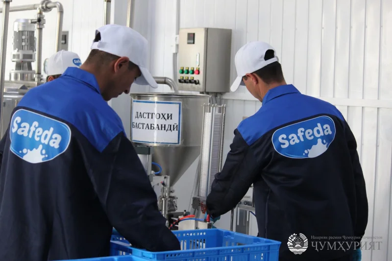 ДӮСТӢ. ЗИНДАГӢ ТАРОВАТИ ТОЗА ДОРАД