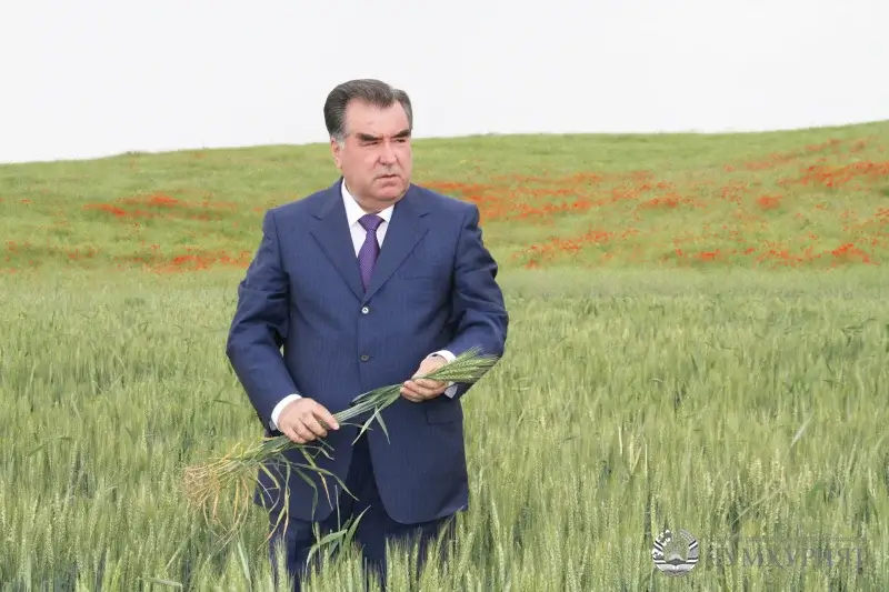 ҶАМШЕДИ РӮЗГОРИ МО. ФОРСИЗАБОНОНИ ОЛАМ АНДАР ШИНОХТИ ПЕШВОИ МИЛЛАТИ ТОҶИКОН
