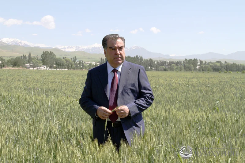 АЗ ИСМОИЛИ СОМОНӢ ТО ЭМОМАЛӢ РАҲМОН