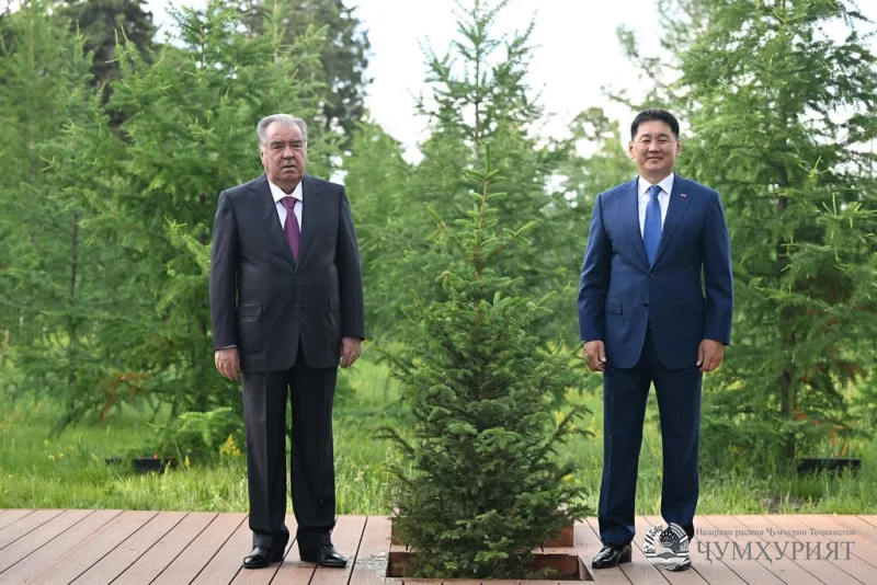 МАРОСИМИ ШИНОНДАНИ НИҲОЛИ ДӮСТӢ АЗ ҶОНИБИ САРВАРОНИ ТОҶИКИСТОНУ МУҒУЛИСТОН