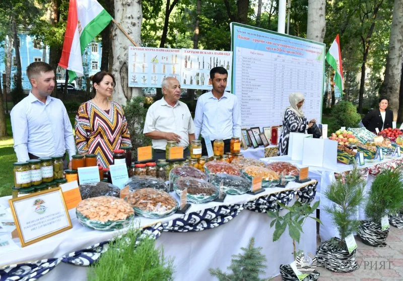 ДУШАНБЕ  Рӯзҳои фарҳанги шаҳру ноҳияҳо саҳифаи тоза дар истиқболи ҷашнҳои миллист!