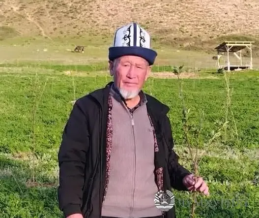ИБРОҲИМ ПИРИЕВ. НОМОШНОЕ АЗ ЛАХШ